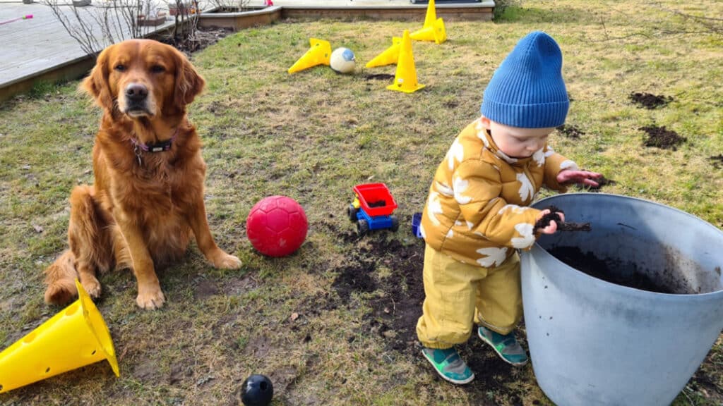 aksel-alex-i-tradgarden Aksel och Alex i trädgården