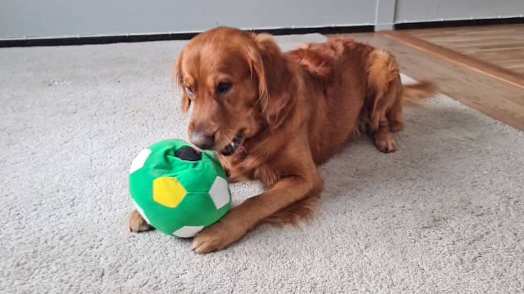 Aksel leker med sin nya boll