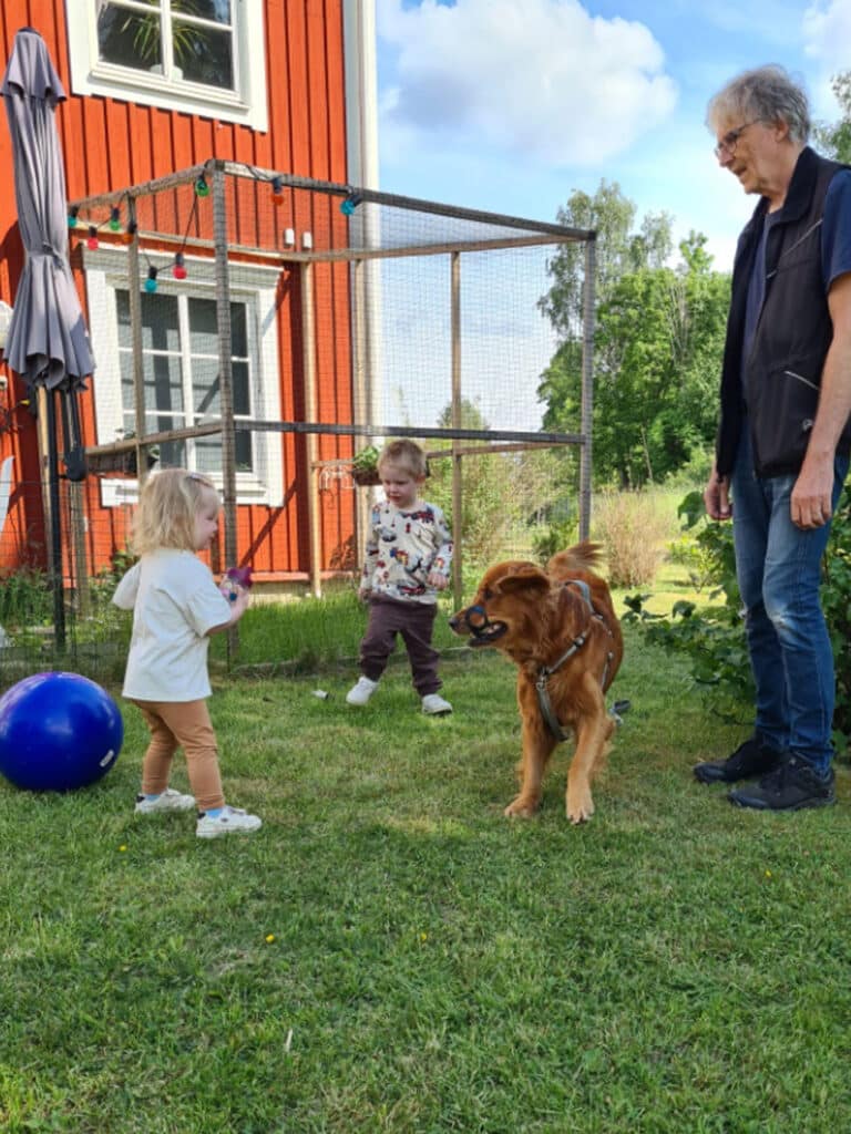 Aksel och husse leker med Juni och August