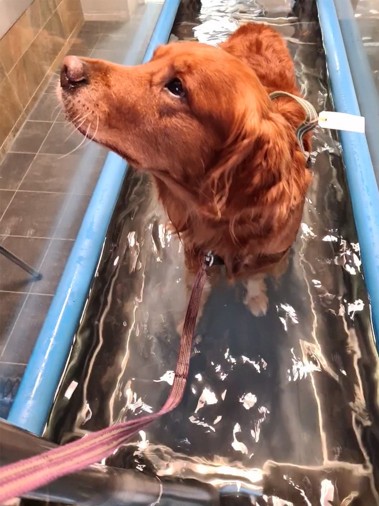 aksel-i-vattentrasken Aksel går i vattentrasken