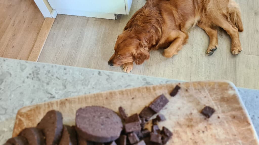 Aksel vaktar blodpuddingen från Magnusson