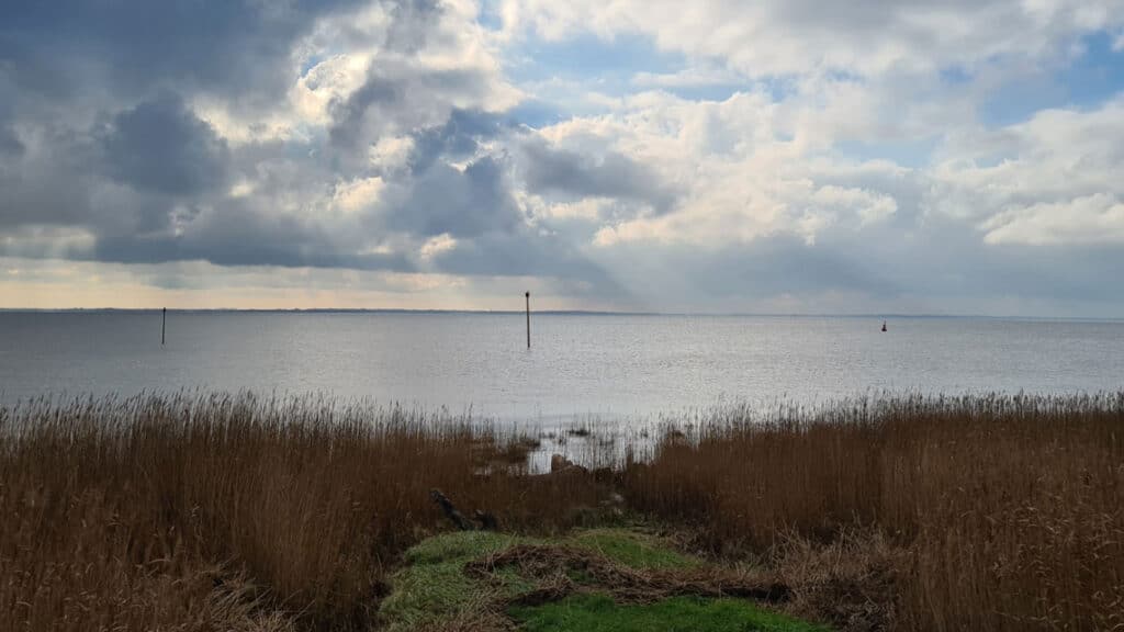 Fågelreservat vid floddeltat