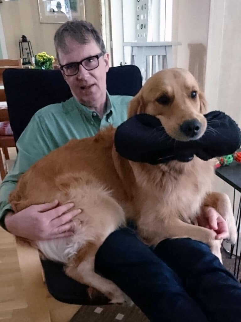 Golden retrievern Gösta sitter i knäet