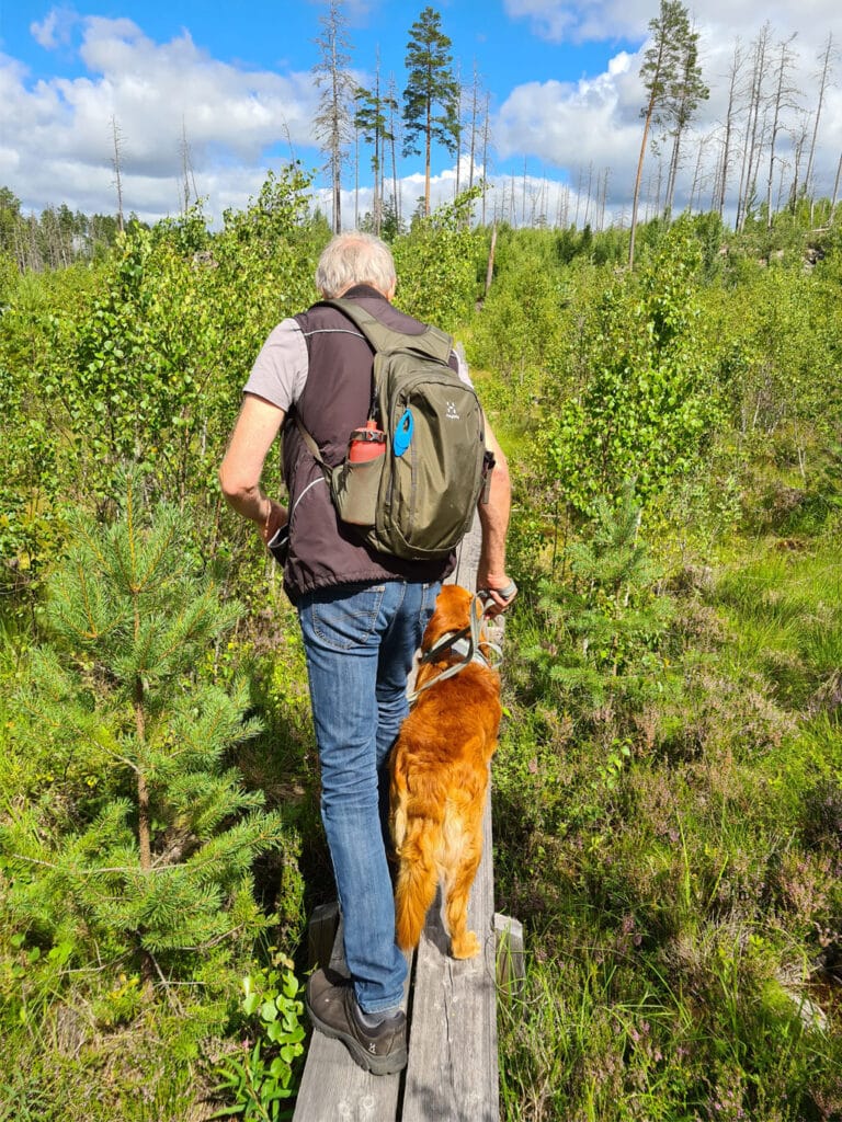 Husse och Aksel vid Hälleskogsbrännan