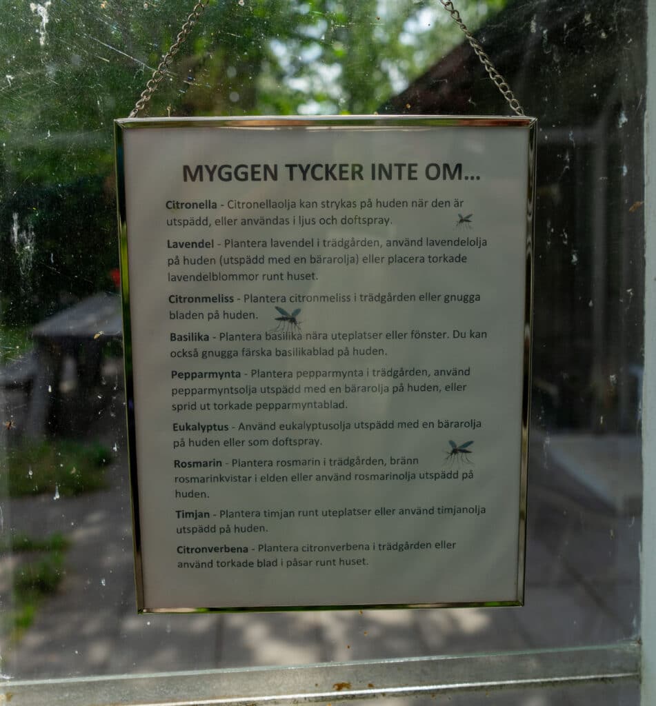 Slipp mygg i sommar