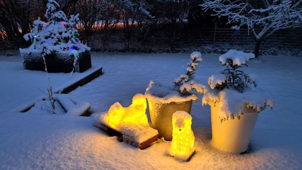 Lysande katt och hund i snöig trädgård