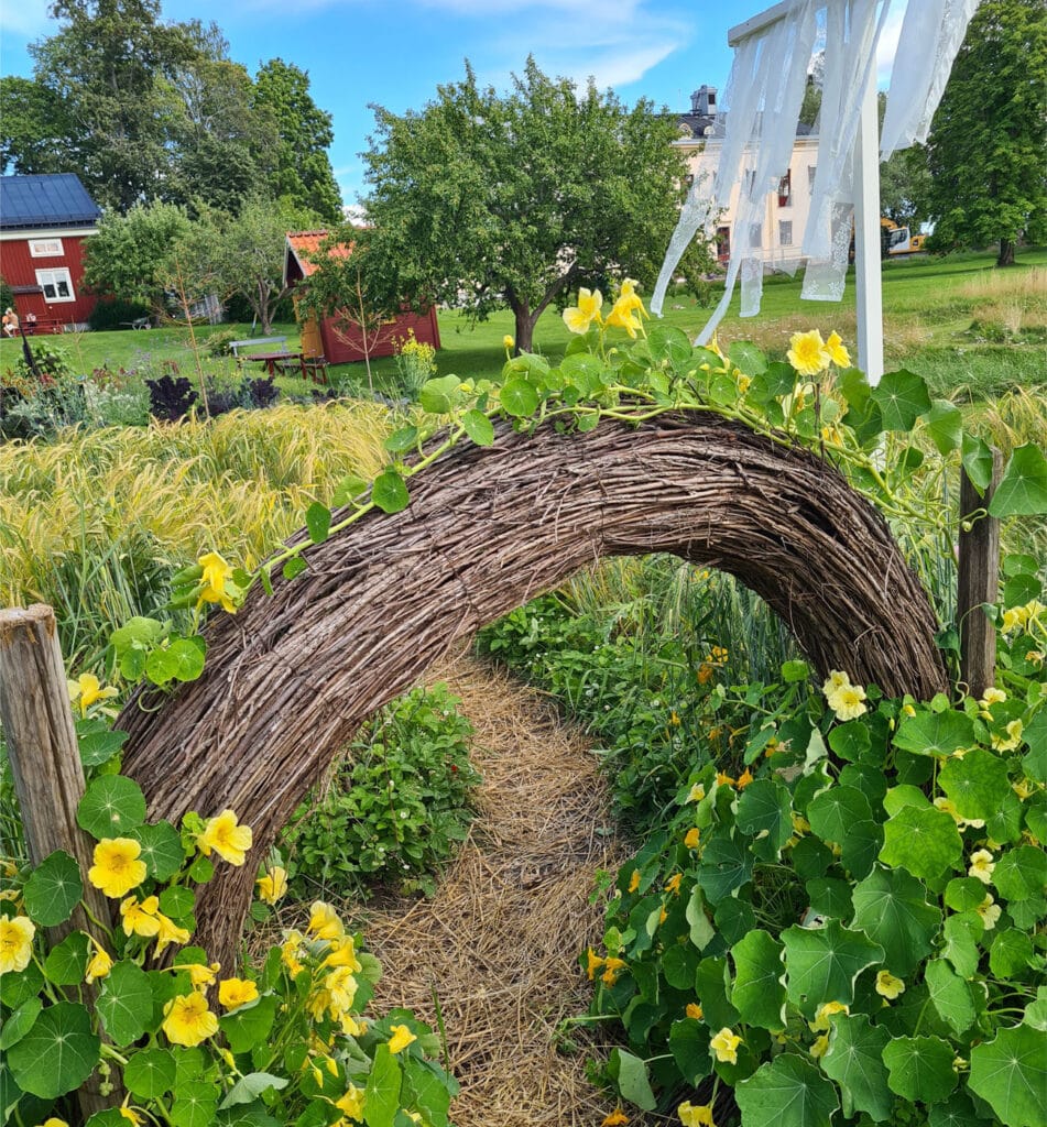 Växtbåge i barnens trädgård- Wij